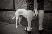 免费短信电话轰炸机